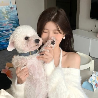 秘密投票 在线观看封面